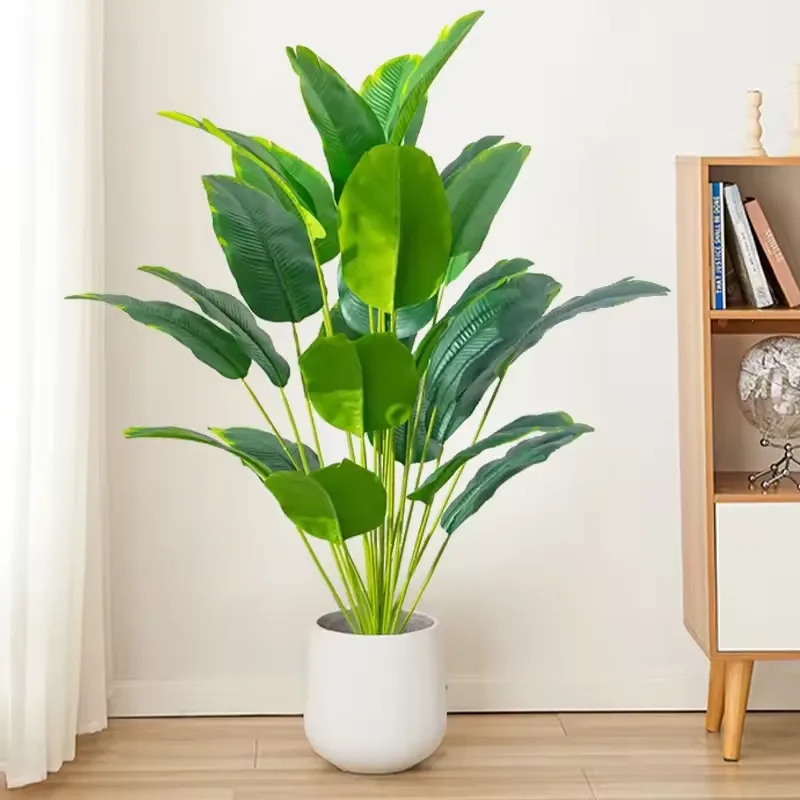 Home & Room Decor